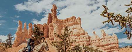 Horseback Riding Experience through Red Canyon