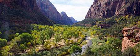 Zion Day Trip from Las Vegas