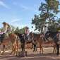 Grand Canyon Mule Rides Grand Canyon Mule Rides